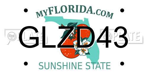 GLZD43 Florida License Plate