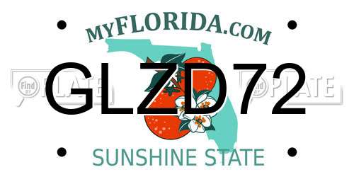 GLZD72 Florida License Plate