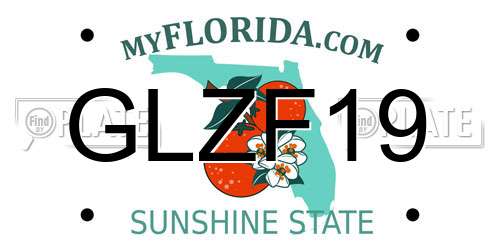 GLZF19 Florida License Plate