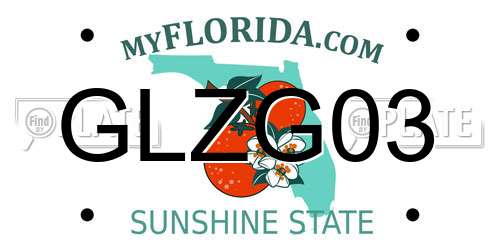 GLZG03 Florida License Plate