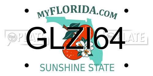 GLZI64 Florida License Plate