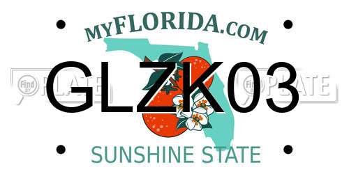 GLZK03 Florida License Plate