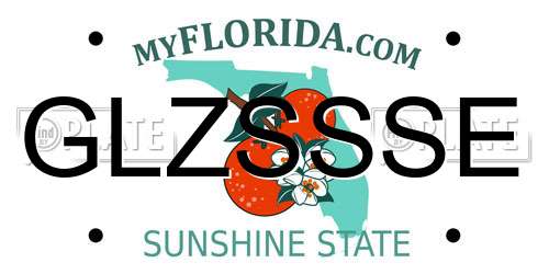 GLZSSSE Florida License Plate