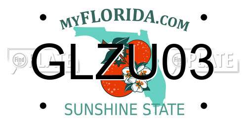 GLZU03 Florida License Plate