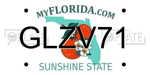 GLZV71 Florida License Plate