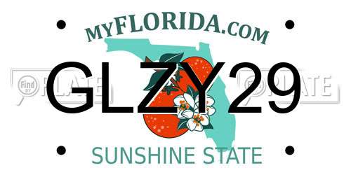 GLZY29 Florida License Plate