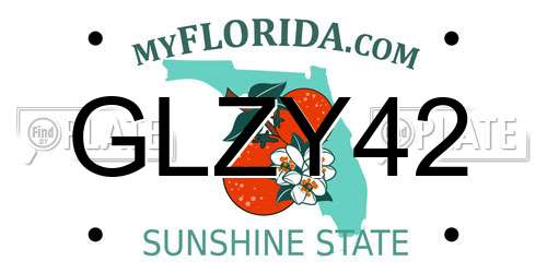 GLZY42 Florida License Plate
