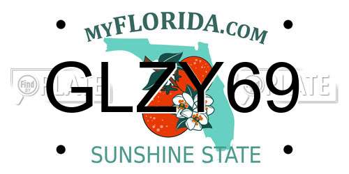 GLZY69 Florida License Plate