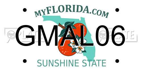 GMAL06 Florida License Plate