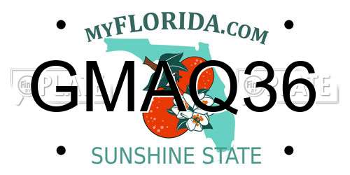 GMAQ36 Florida License Plate