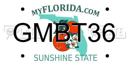 GMBT36 Florida License Plate