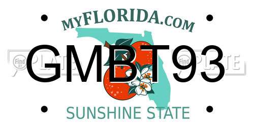 GMBT93 Florida License Plate