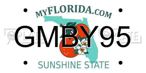 GMBY95 Florida License Plate