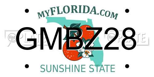 GMBZ28 Florida License Plate
