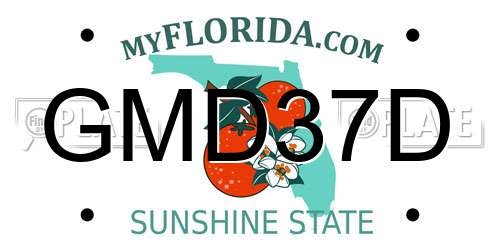 GMD37D Florida License Plate