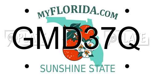 GMD37Q Florida License Plate