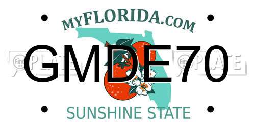 GMDE70 Florida License Plate
