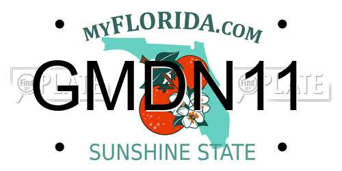 GMDN11 Florida License Plate
