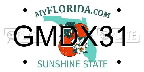 GMDX31 Florida License Plate