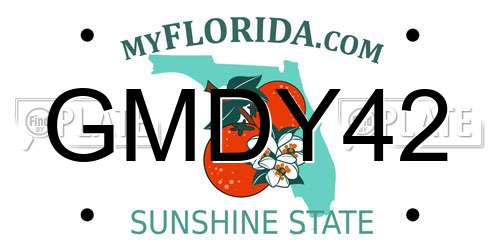 GMDY42 Florida License Plate