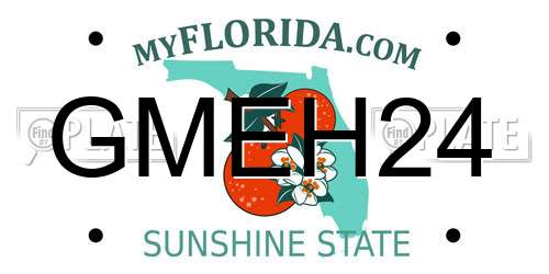 GMEH24 Florida License Plate