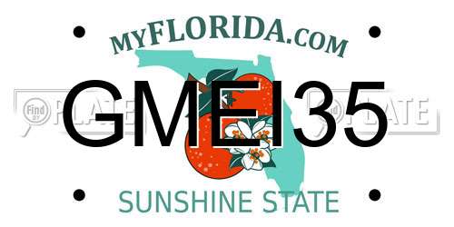 GMEI35 Florida License Plate