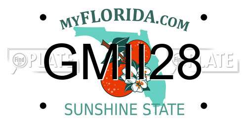 GMII28 Florida License Plate