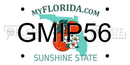 GMIP56 Florida License Plate