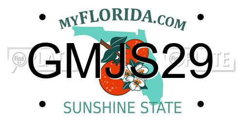 GMJS29 Florida License Plate