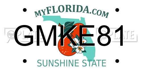 GMKE81 Florida License Plate