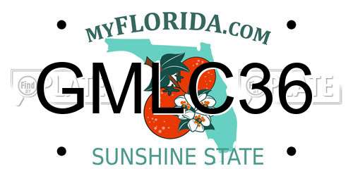 GMLC36 Florida License Plate