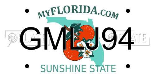 GMLJ94 Florida License Plate