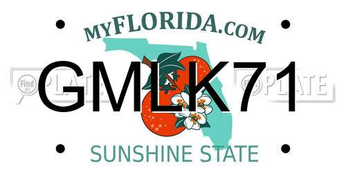 GMLK71 Florida License Plate