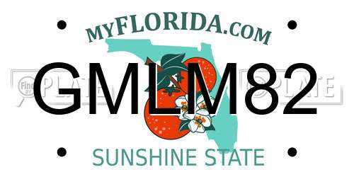 GMLM82 Florida License Plate