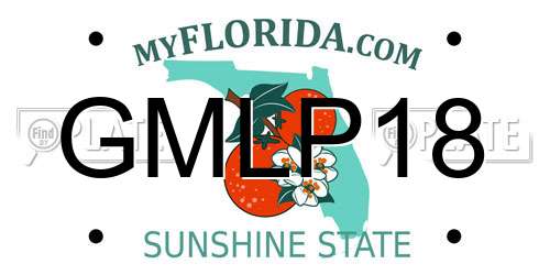 GMLP18 Florida License Plate