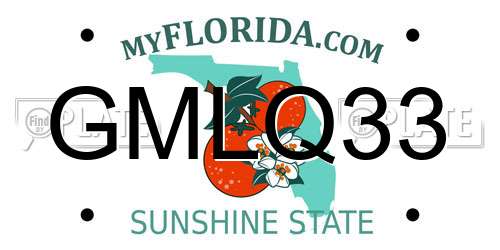 GMLQ33 Florida License Plate
