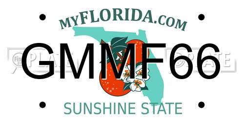 GMMF66 Florida License Plate