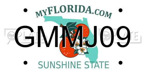 GMMJ09 Florida License Plate