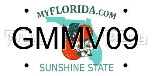 GMMV09 Florida License Plate
