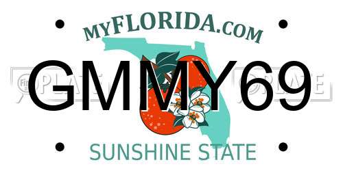 GMMY69 Florida License Plate