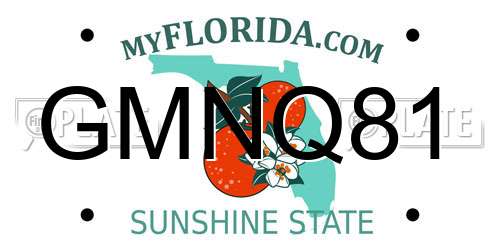 GMNQ81 Florida License Plate