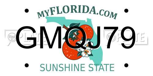 GMQJ79 Florida License Plate