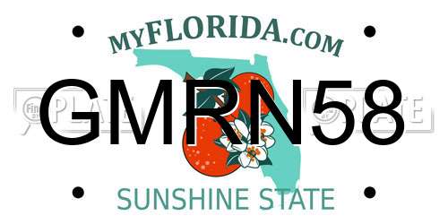 GMRN58 Florida License Plate