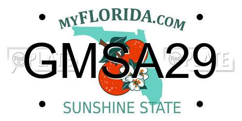 GMSA29 Florida License Plate