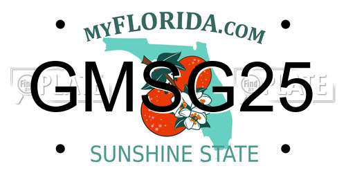 GMSG25 Florida License Plate