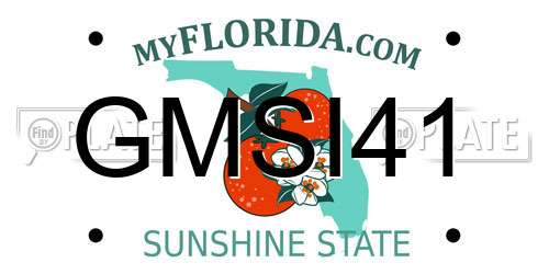 GMSI41 Florida License Plate