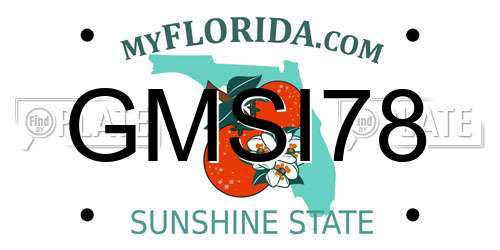 GMSI78 Florida License Plate