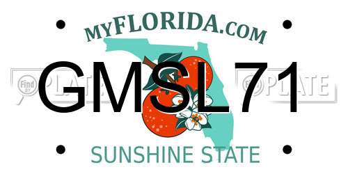 GMSL71 Florida License Plate