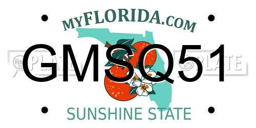 GMSQ51 Florida License Plate