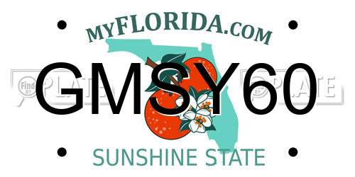 GMSY60 Florida License Plate